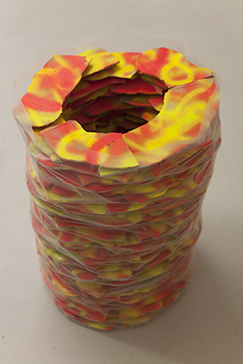 Rubblesac Forest Fire