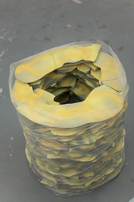 Rubblesack Clear 2 Yellows